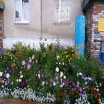 4 mik4_66.jpg